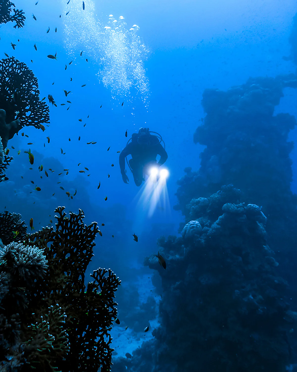 DiveRig5 | Underwater Video/Photo Diving Rig | Movo - Image 9