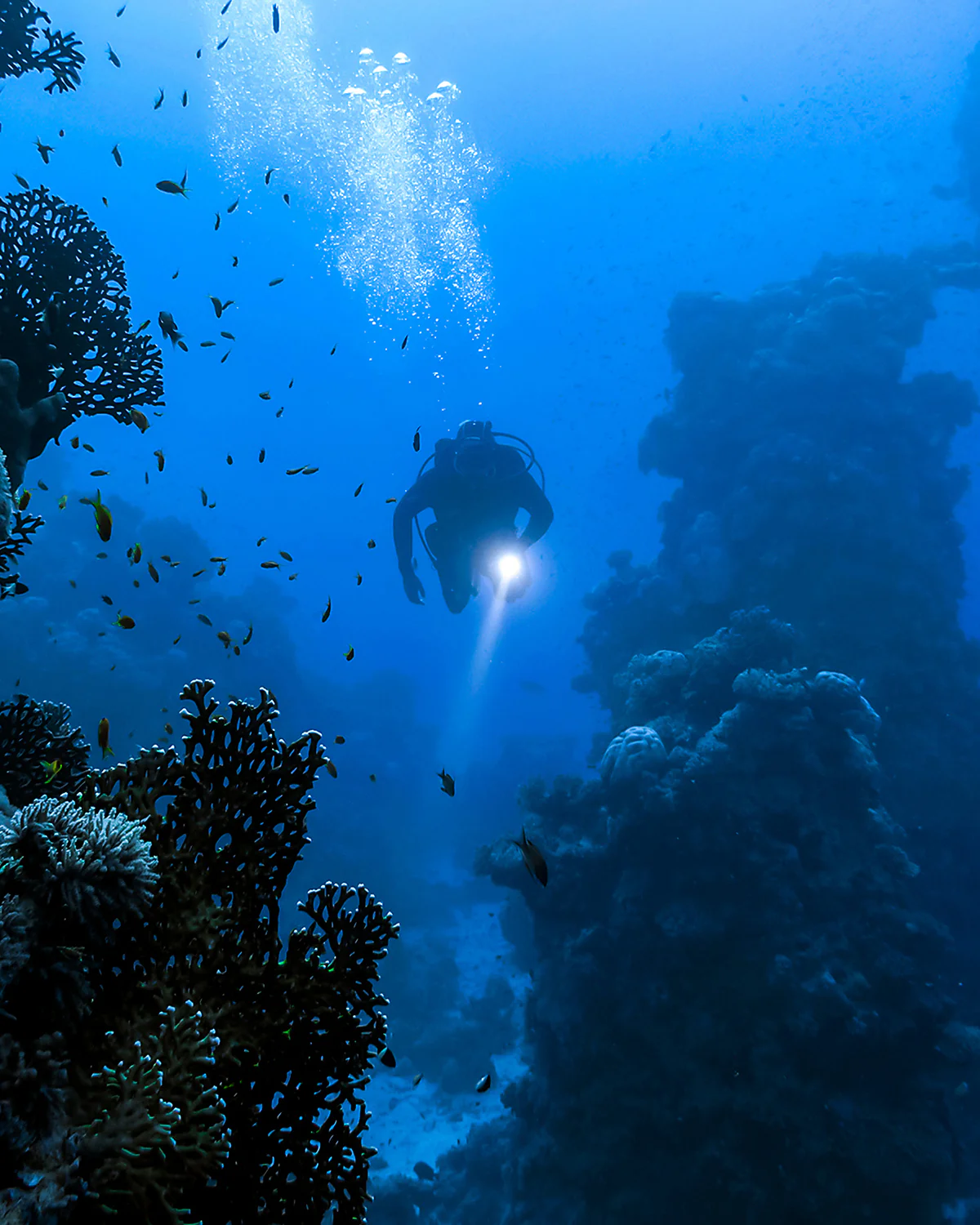 DiveRig6 | Underwater Video/Photo Diving Rig | Movo - Image 9