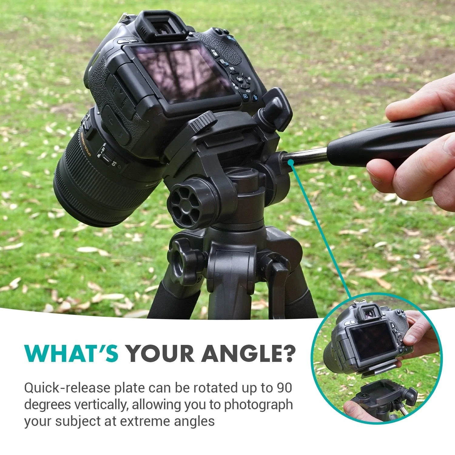 MV-T5 | Full-Size Aluminum Tripod | Movo - Image 4